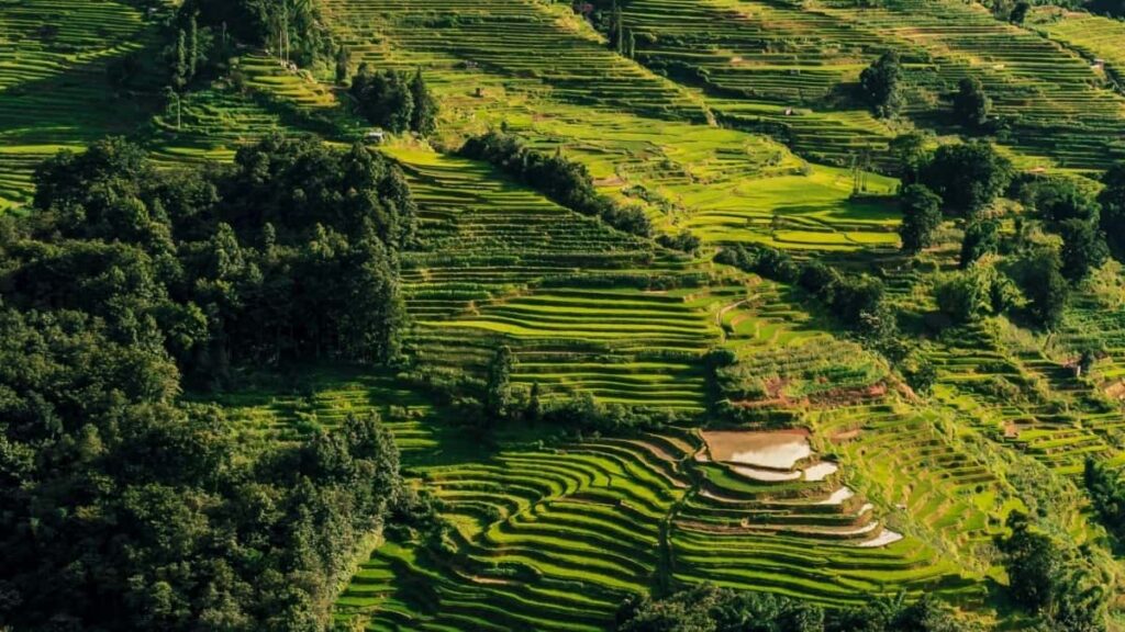 2025 Indonesia WhatsApp Full Category Advertising Rate Card Guide