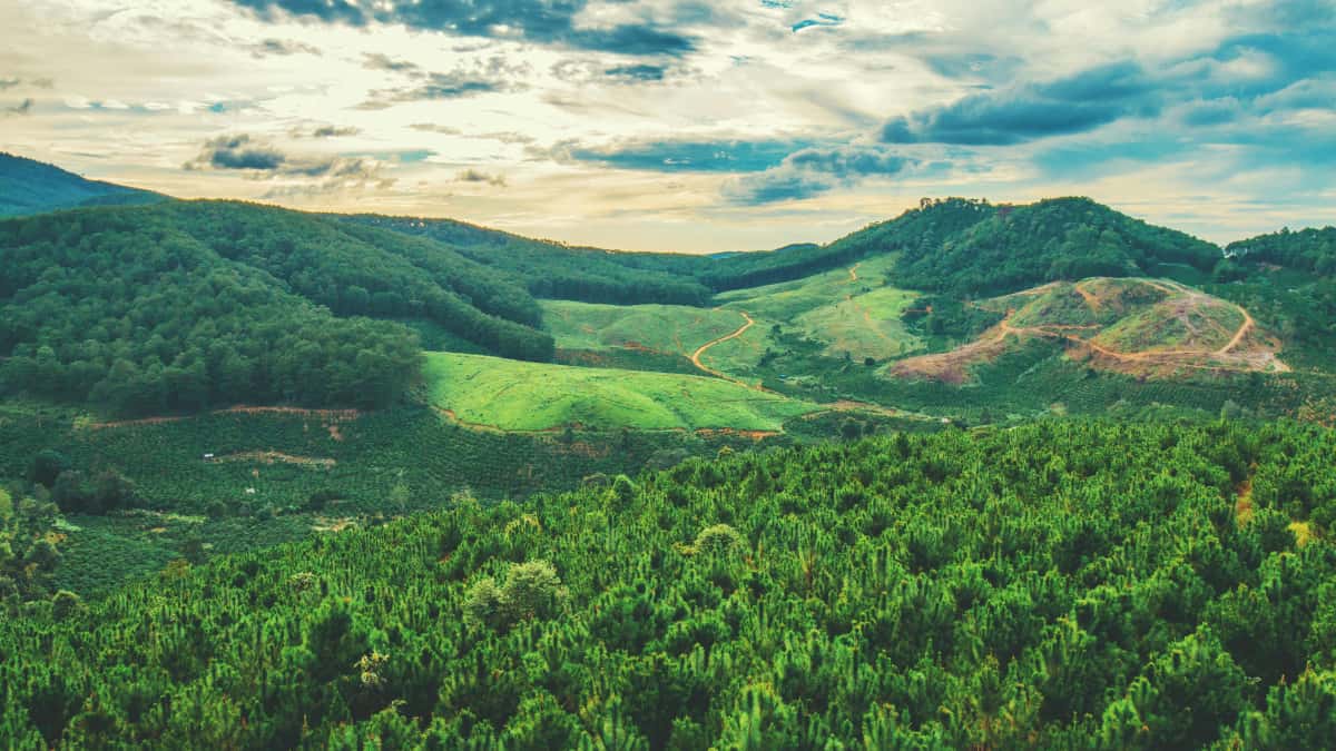 US Brands: Find Ireland Instagram Creators for Hot Drops