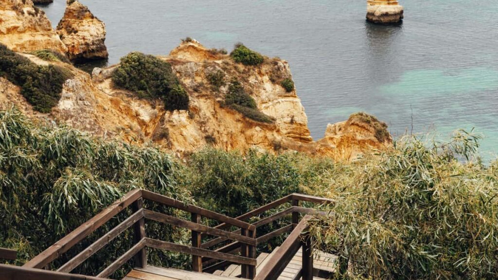 Discover how US creators can connect with Algeria brands on ShareChat to join trending wellness campaigns.