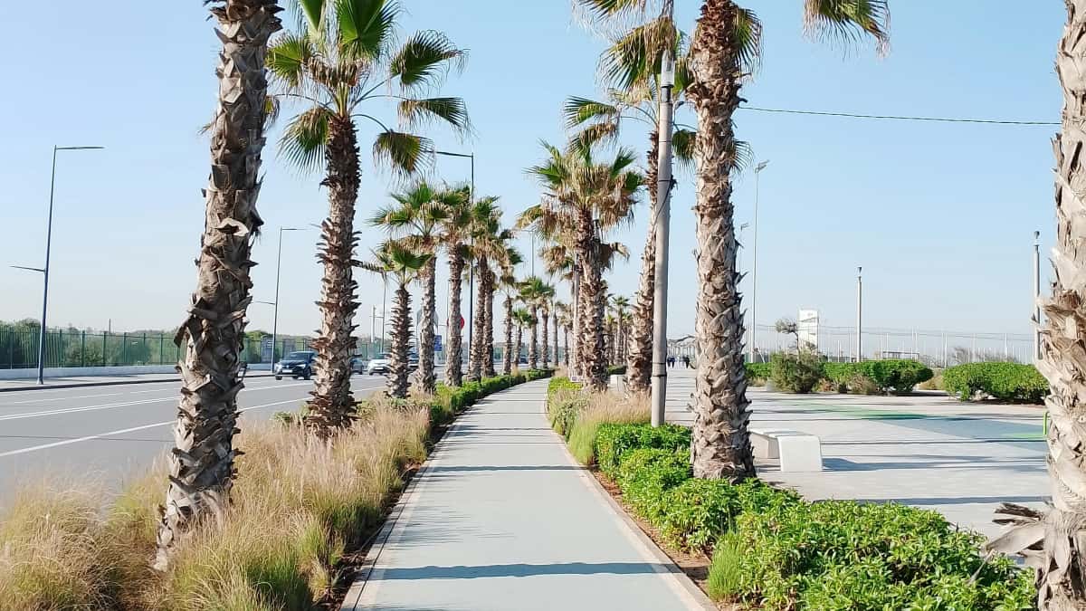 US Creators: Land Montenegro Brand Deals on Facebook