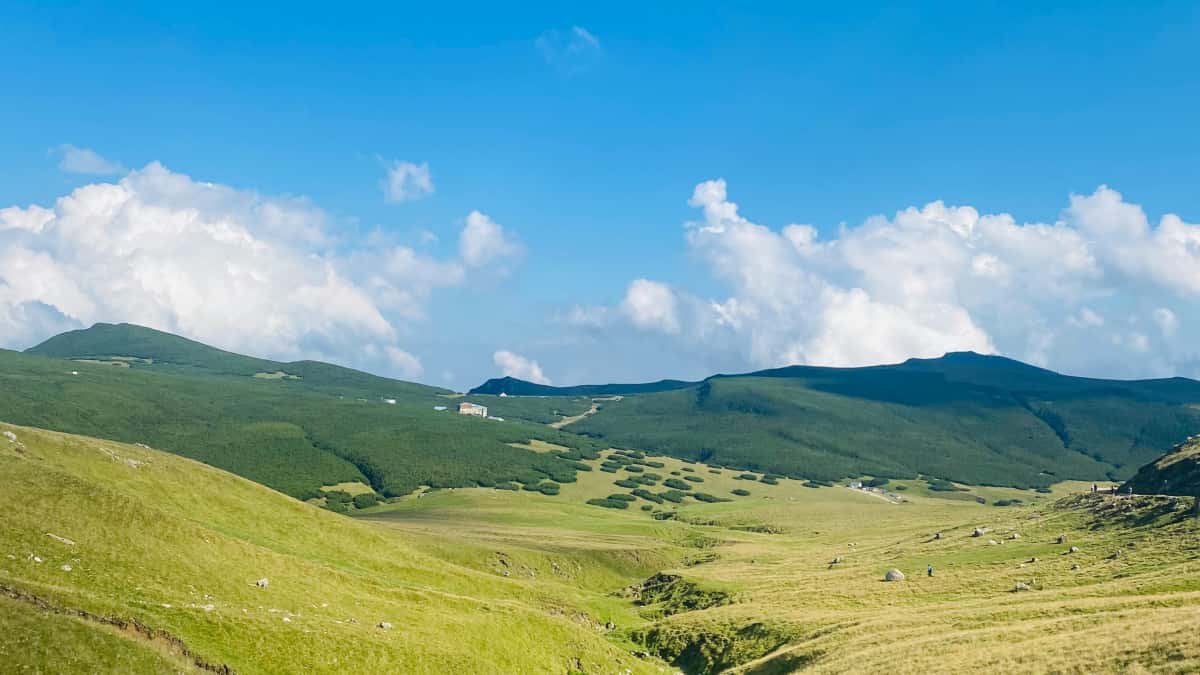 US Creators: Land Moroccan WeChat Deals Fast