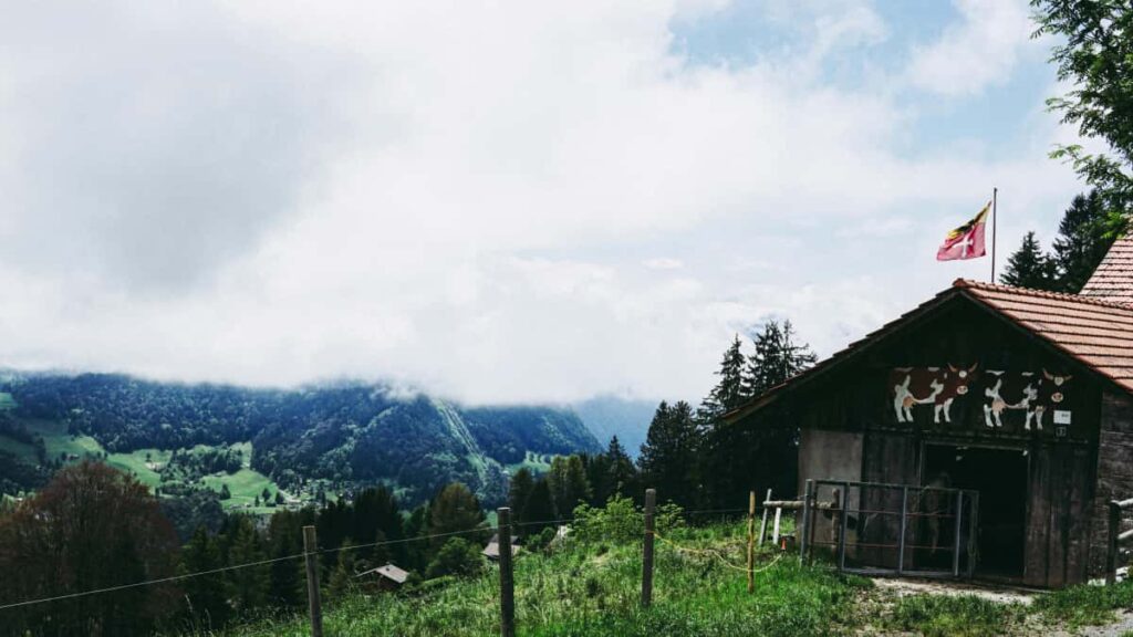 Practical, step-by-step guide for US advertisers to find Germany-based TikTok creators and launch scalable UGC campaigns.