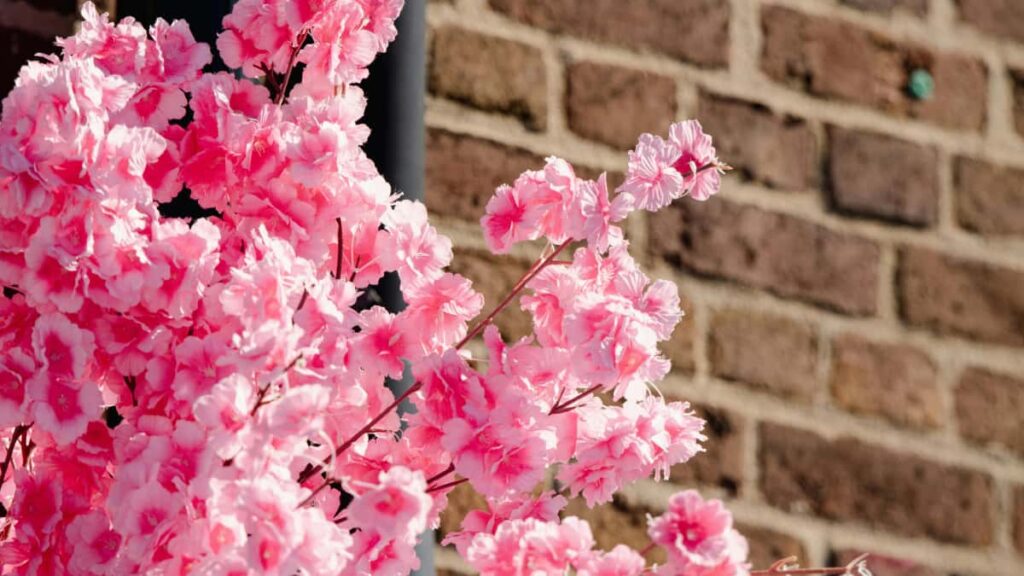 Practical playbook for US creators to find, pitch, and close flat-fee Snapchat deals with Brazilian brands outreach templates, localization tips, and negotiation guardrails.