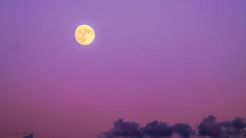 Practical playbook for US fitness creators to find, pitch, and win Mongolian brand reps on Twitter with localized outreach and quick-win tactics.