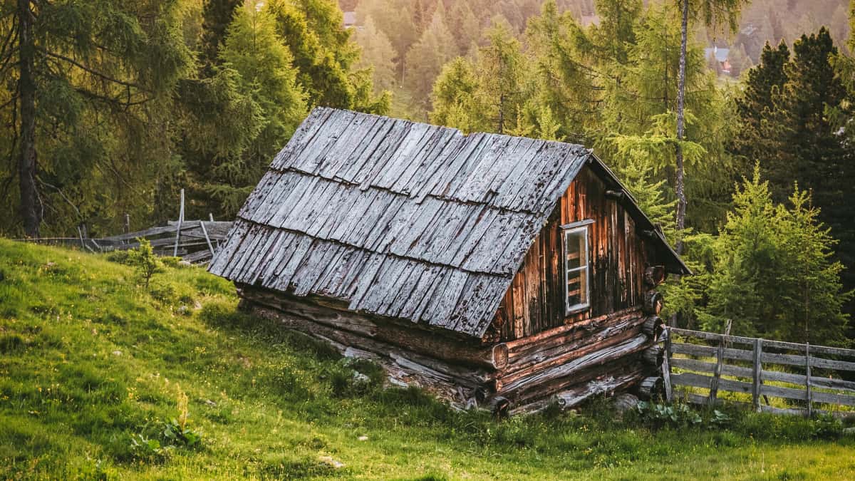 US Marketers: Find Czech Amazon Creators & Boost Engagement