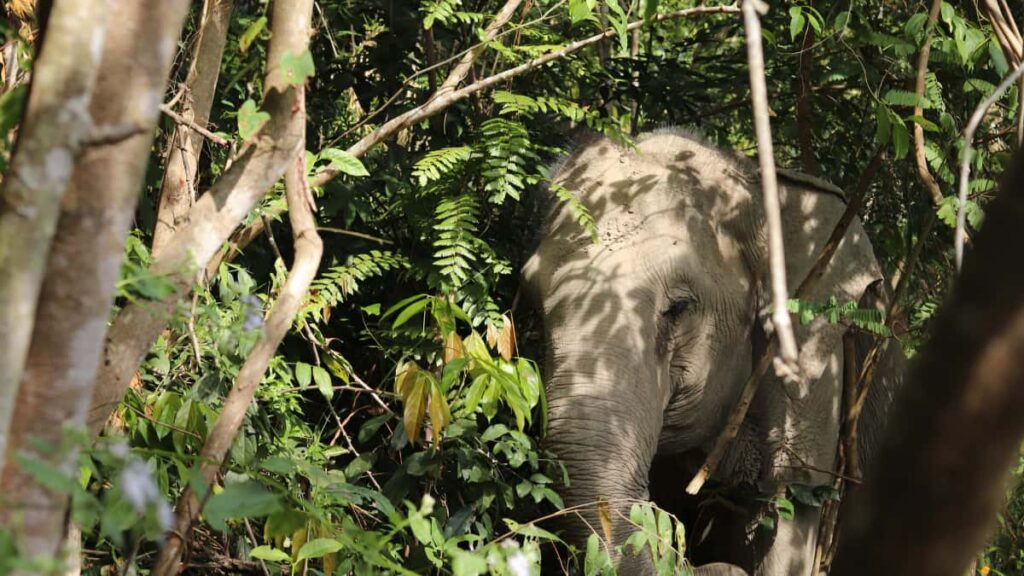 Practical, street-smart guide for US creators on contacting Venezuelan brands via Facebook to request free product samples and collaborations.