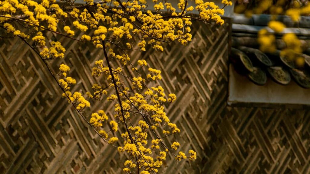 Practical playbook for US advertisers to locate and partner with Armenia-based KakaoTalk creators to boost awareness in gaming communities.