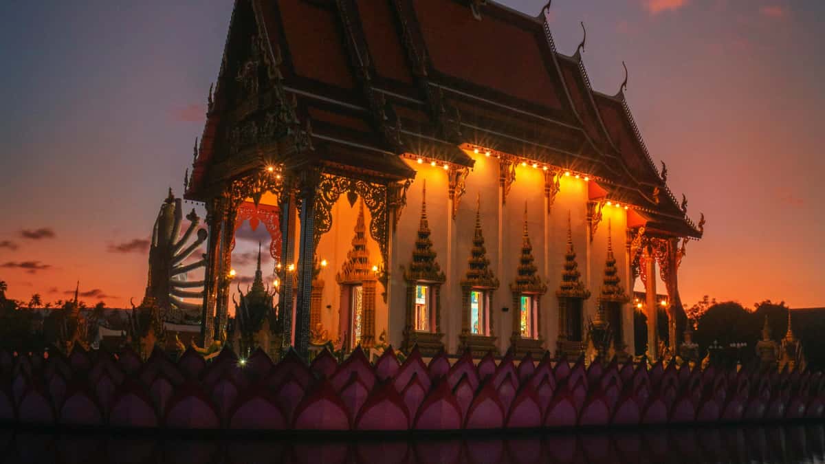 US Creators: Pitch NZ Brands on Twitch and Win Affiliate Deals