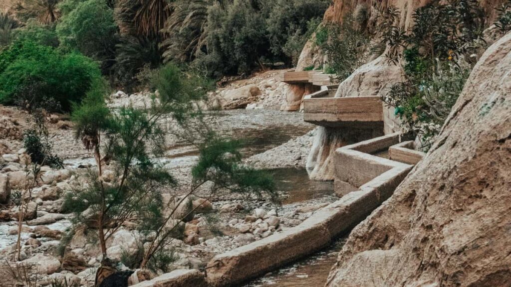 Practical roadmap for US advertisers to locate Egyptian WeChat creators and launch sponsored challenges, with platform tactics, partner leads, and outreach templates.