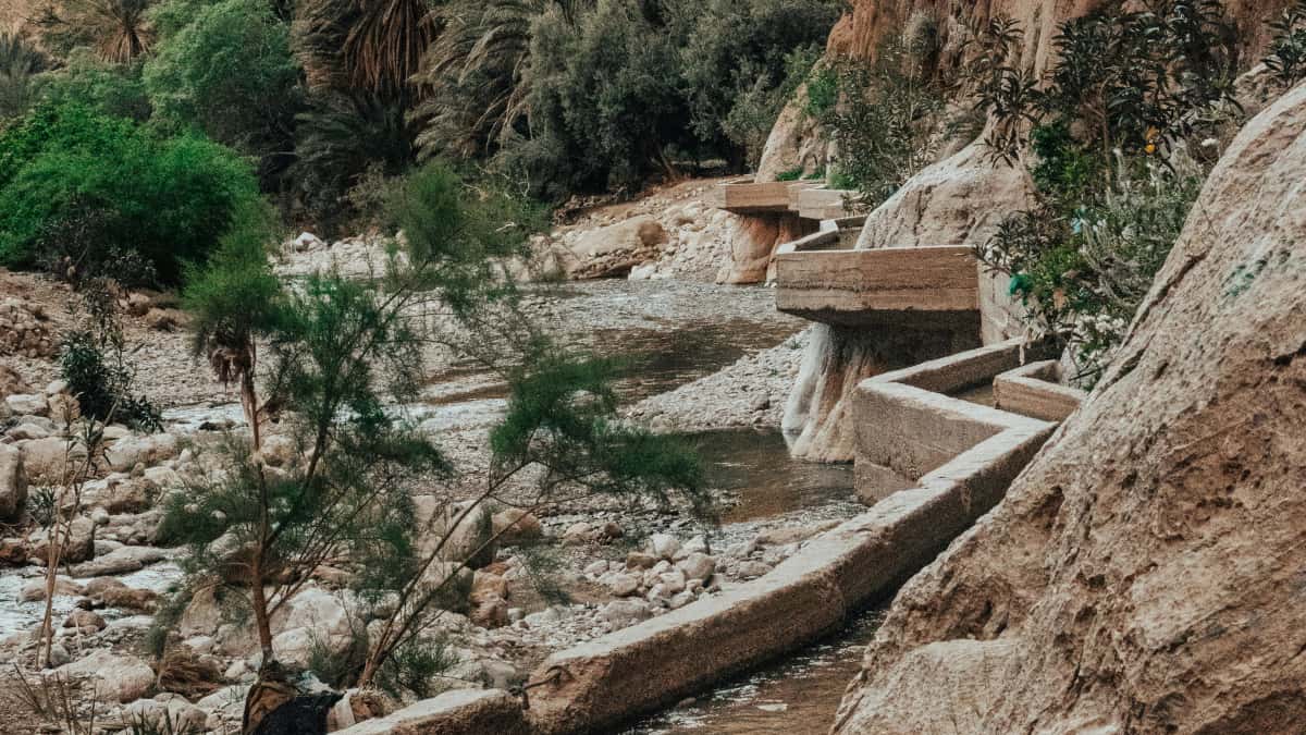 US Brands Finding Egypt WeChat Creators Fast