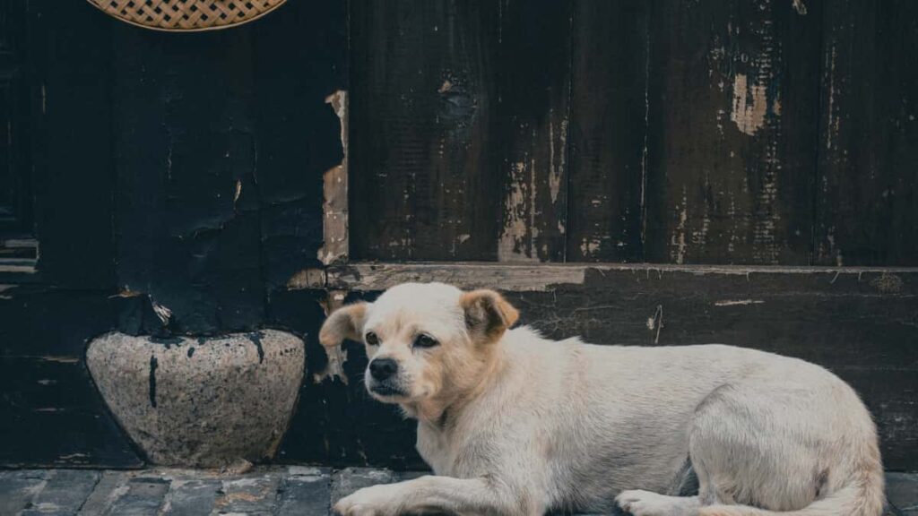 Practical playbook for US advertisers to find and vet Peru Clubhouse creators for giveaway campaigns tied to purpose-led PR and audience growth.