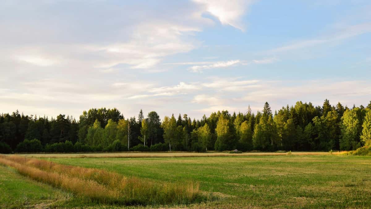 US Advertisers: Find Poland Rumble Streamers to Boost Installs