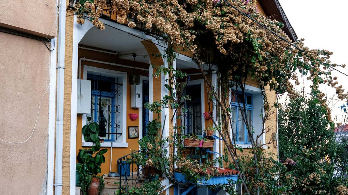 US Creators: Pitch Italy Brands on Roposo — Fast Guide