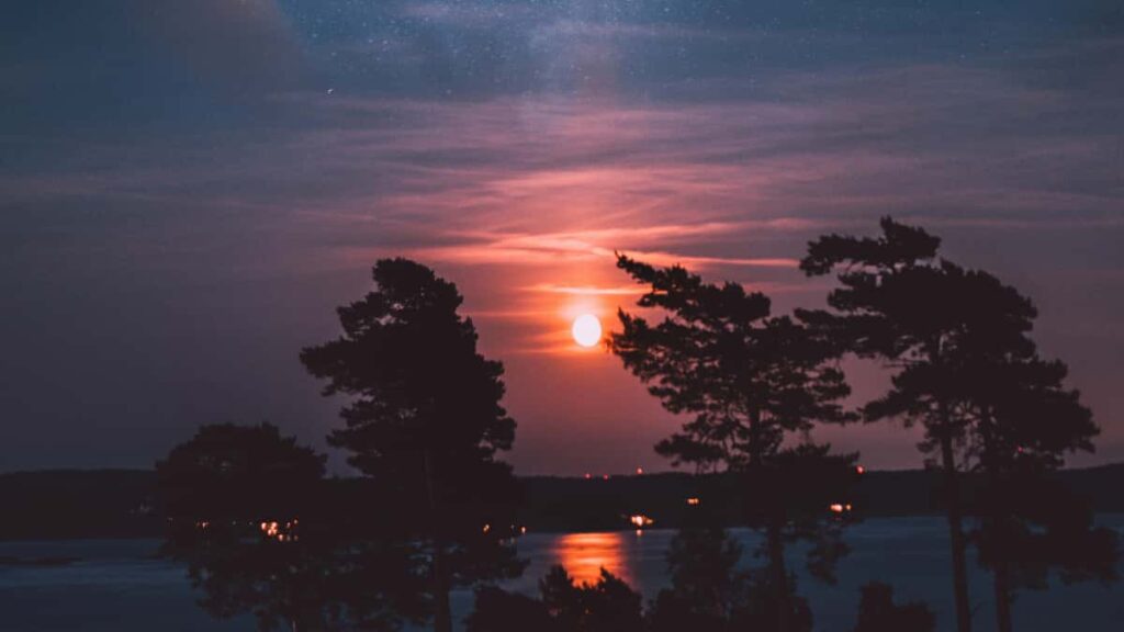 Practical playbook for US creators to find and pitch Tunisian brands on Roposo, build localized content, and win measurable campaigns in 2026.