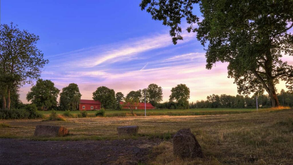 Practical playbook for US creators to find and convert Lithuania brands on Douyin with powerful CTAs, localization tips, partnership scripts, and measurement tactics.