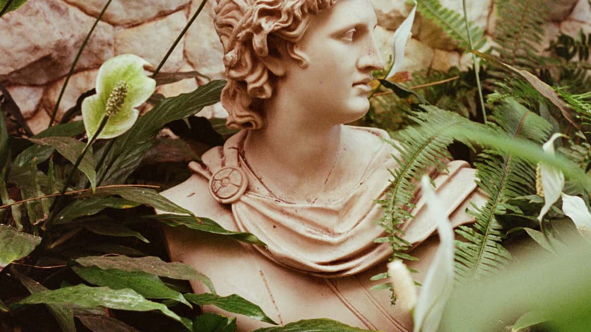 Beauty CMOs: Find Greek OnlyFans Creators Fast