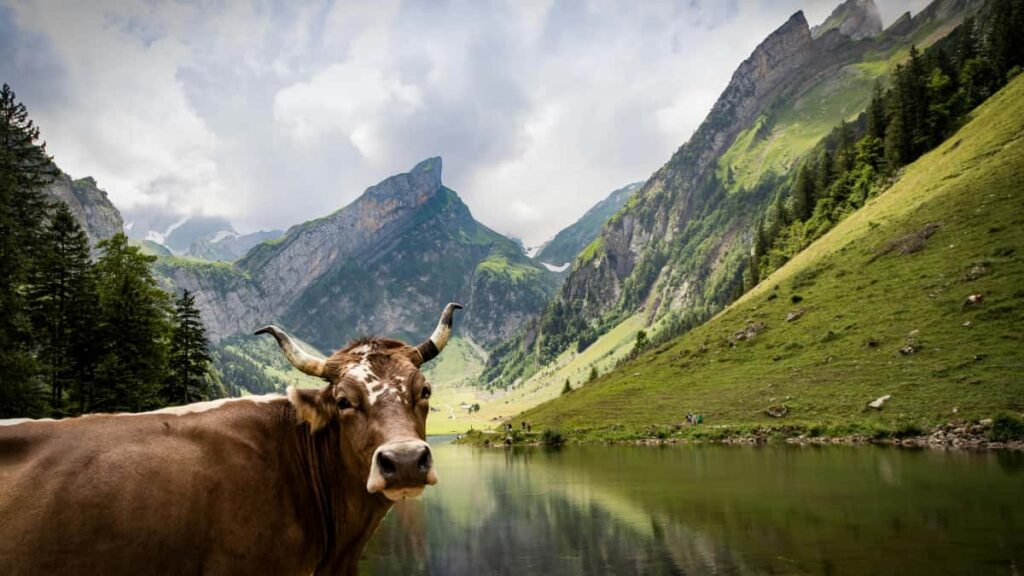 Practical playbook for US creators to use WhatsApp to connect with Nepalese brands, secure paid gigs, and monetize channelslocal tactics and outreach templates.