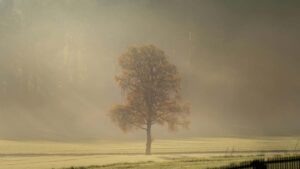 Tactical guide for US creators on how to find, pitch, and land styling-challenge collabs with Spanish brands on Threads local tips, message templates, and outreach playbook.